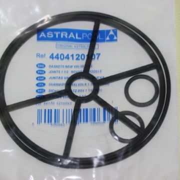 Komplett O-rings set för Astral sidomonterad  00597 Centralventil  